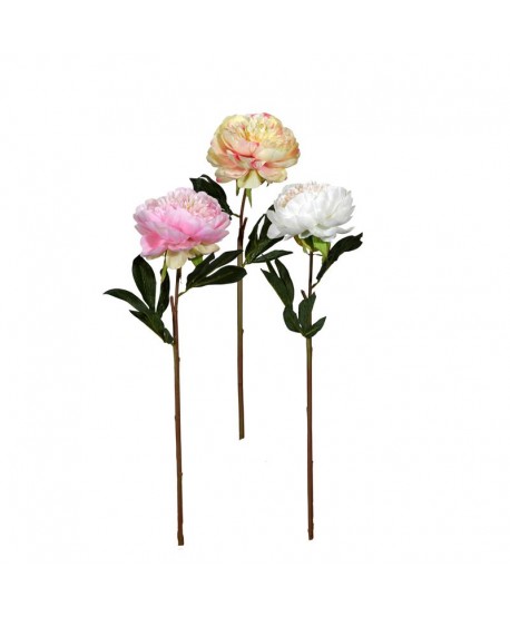 ΠΕΟΝΙΑ ΚΛΑΔΙ ΣΕ 2 ΧΡΩΜΑΤΑ 16 0272 68εκ