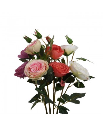 ΚΛΑΔΙ ΤΡΙΑΝΤΑΦΥΛΛΟ ΜΕ 3...