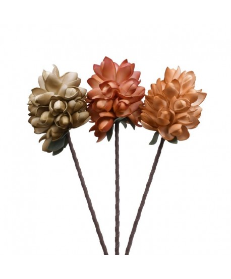 ΛΟΥΛΟΥΔΙ Fylliana 13970 ΔΙΑΦΟΡΑ ΧΡΩΜΑΤΑ