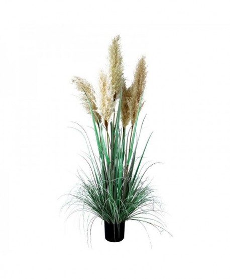 ΔΙΑΚΟΣΜΗΤΙΚΟ ΦΥΤΟ PAMPAS GRASS ΣΕ ΓΛΑΣΤΡΑ Fylliana 9570 ΠΡΑΣΙΝΟ ΜΠΕΖ ΧΡΩΜΑ 50x50x138εκ