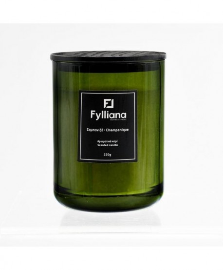 ΑΡΩΜΑΤΙΚΟ ΚΕΡΙ Fylliana FL80105 ΣΑΜΠΑΝΙΑ ΣΕ ΓΥΑΛΙΝΟ ΒΑΖΑΚΙ 220gr ΚΑΙ ΣΥΣΚΕΥΑΣΙΑ ΔΩΡΟΥ ΠΡΑΣΙΝΟ ΧΡΩΜΑ 8x10.5εκ