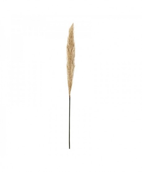 ΔΙΑΚΟΣΜΗΤΙΚΟ ΛΟΥΛΟΥΔΙ PAMPAS GRASS Fylliana 9573 ΜΠΕΖ ΧΡΩΜΑ 9x9x120εκ