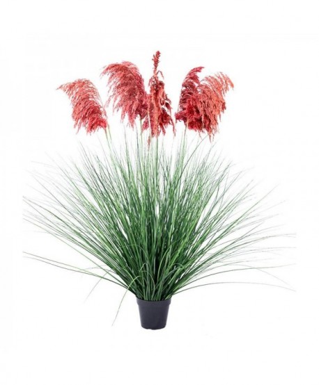 ΔΙΑΚΟΣΜΗΤΙΚΟ ΦΥΤΟ PAMPA GRASS ΣΕ ΓΛΑΣΤΡΑ Fylliana 9009 ΚΟΚΚΙΝΟ ΧΡΩΜΑ 80x80x126εκ