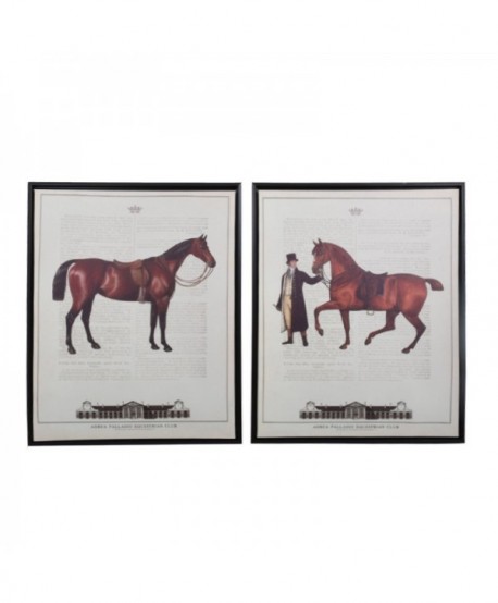 ΚΑΔΡΟ Fylliana BROWN HORSE 12 40x50εκ